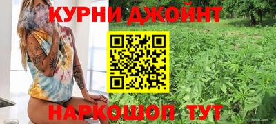 Альфа ПВП Пушкино
