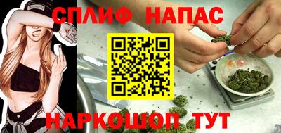 Альфа ПВП Пушкино