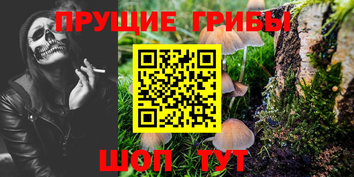 Галлюциногенные грибы Psilocybe Славянск-на-Кубани