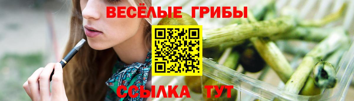 Галлюциногенные грибы мицелий  Вход с VPN  Славянск-на-Кубани  Галлюциногенные грибы Magic Shrooms 